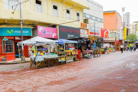 Panama City August 2017: In avenida central in August you can buy any kind of merchandise in the shops or banquets that are located in the pedestrian areaのeditorial素材