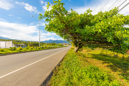 road to boquete chiriqui panamaのeditorial素材