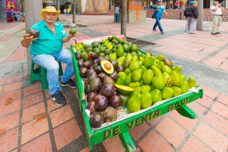 Medellin January 2018  In the morning, an old man sells fresh tropical fruit on his wagon in a street in the center of Medellin because people love to buy fruit in the street.のeditorial素材