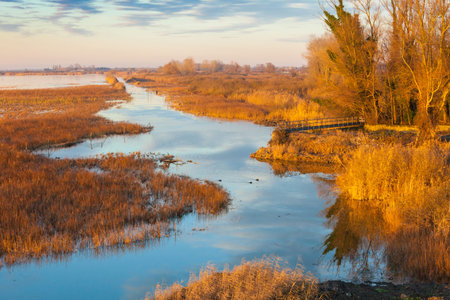 marshes of Comacchio at sunset Italy