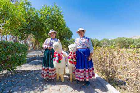 Peru September 2018 Inca descendants in traditional clothes accompanied by little huacayan alpacasのeditorial素材