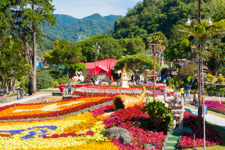 Boquete Panama January 18 2019 this is the main square in the morning of the flowers and coffee fair of Boquete visited every year by local families and touristsのeditorial素材
