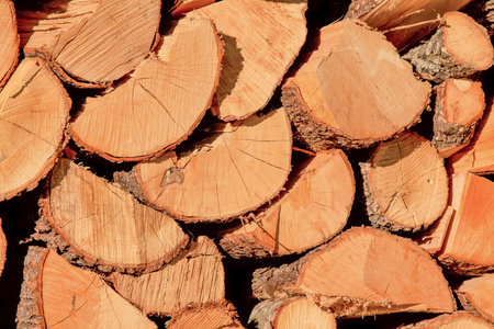 storage of firewood close up Italy