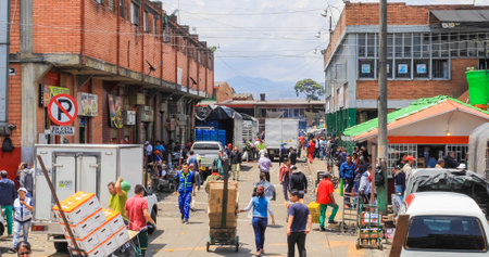 Bogota Colombia April 6 Goods handling in Corabasto food market the biggest of the capital where trucks arrive every day full of vegetables and fruit to supply  the little markets and restaurants of the city. Shoot on April 6, 2019のeditorial素材