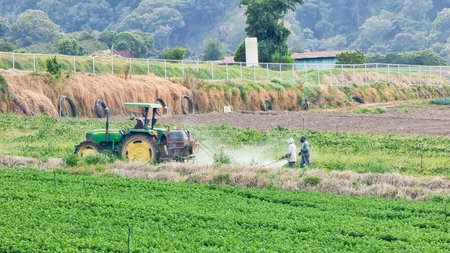 Panama, Chiriqui province, January 5, manual irrigation of cultivated fields in the vucanica valley...