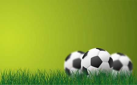 Soccer field, football field. Play, team sport, Green grass sky background. Flat vector playing field banner signs. Soccer ball in goalのイラスト素材