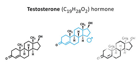 Male sex hormones molecular formula. Human, testosterone, androgen hormone symbol. Skeletal formula....