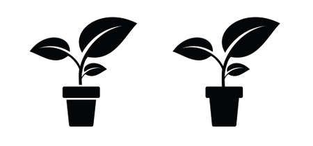 Garden plant in pot. Vector icon or pictogram. flower pot icon. Springtime flowers. Houseplant silhouette plants in pots.のイラスト素材