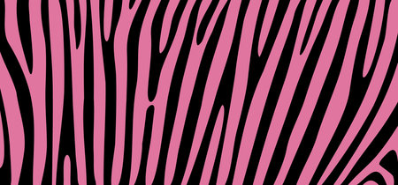 Cartoon pink or rose safari zebra, line pattern. Zebra print, animal skin, tiger stripes sign. Africa, animal texture wave. jungle pattern.のイラスト素材