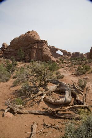 skyline arch arches national parkの写真素材