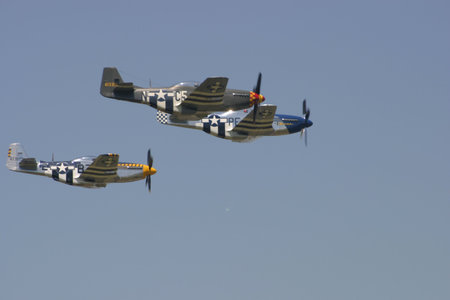 P51 Mustang Historic Airplane