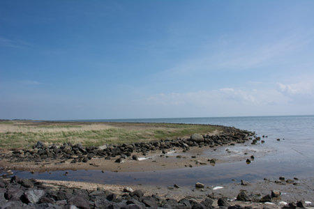 River ending in the sea