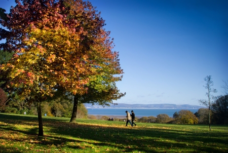 Autumn Walkの写真素材