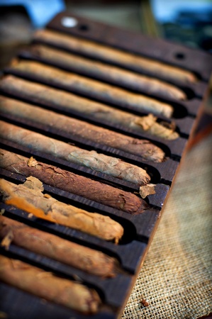 Several hand made cigars displayed in a wooden cigar mold.の写真素材