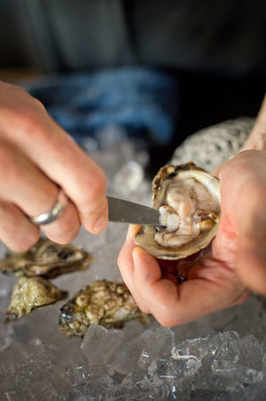 Shucking fresh oysters with a knife over an ice bin.