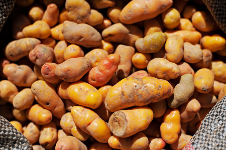 Looking down on a sacks of potatoes in a Peru marketplace in the Urubamba Valley.の写真素材
