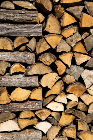 Pile of chopped firewood prepared for winter.
