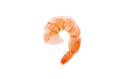 A single cocktail shrimp on a white backgroundの写真素材