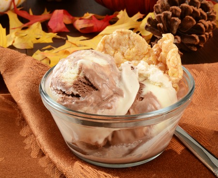 A bowl of vanilla ice cream with chocolate and caramel toffee swirls.の写真素材