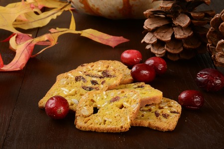 Gourmet thin toasts or crackers infused with cranberry, seeds and nutsの写真素材