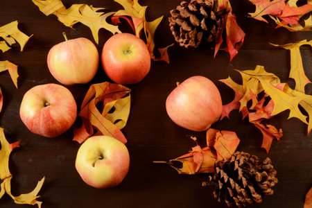 Fresh gala apples on a dark wooden surface with autumn leaves and pine cones