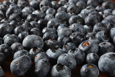 Closeup of fresh blueberries, shallow depth of field, focus near front.の写真素材