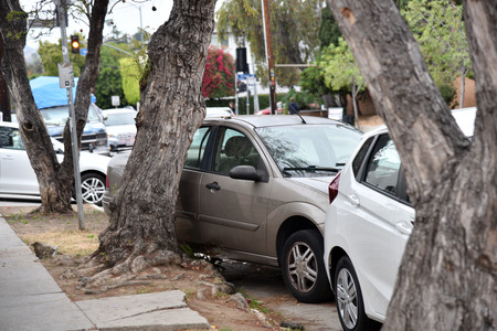 A car pushed into a tree after an automobile accidentの写真素材