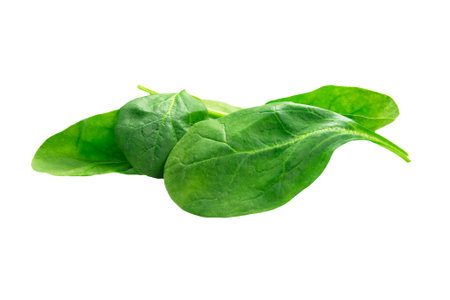 Spinach leaves isolated on white background. Healthy food concept.の写真素材