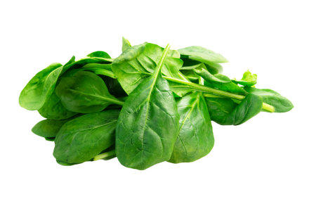 Fresh green spinach leaves isolated on white background. Healthy food concept.の写真素材