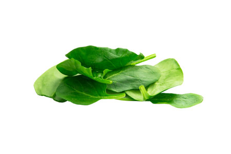 Fresh green spinach leaves isolated on a white background. Macro studio.の写真素材