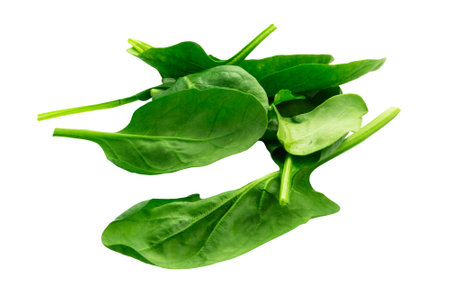 Spinach leaves isolated on white background with clipping path and full depth of fieldの写真素材