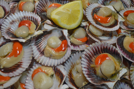 Fresh Shellfish for sale in the Mercado Central, Santiago, Chileの写真素材