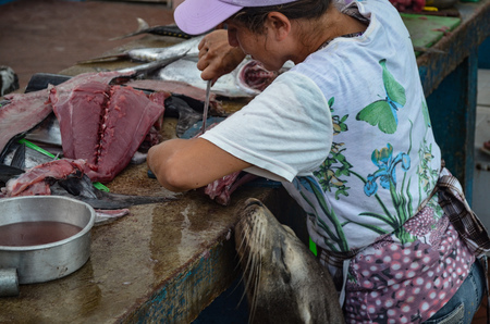 Freshly caught Tuna for sale on Puerto Ayora fish market, on Isla Santa Cruz, Galapagos Islands.のeditorial素材