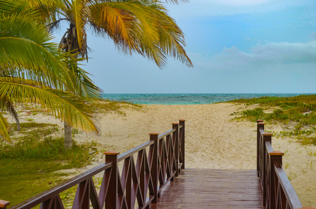Walkway leading to a palm fringed beach in Varadero, Cubaの写真素材