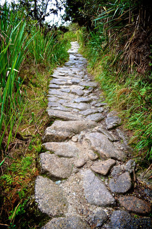 Stone pathing leads the way through tropical forests on the Inca Trail to Machu Picchuの写真素材