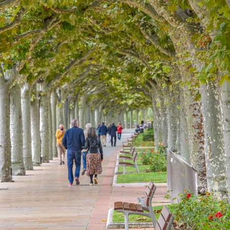Burgos, Spain - 16 Oct 2021: Trees line the river side Paseo Espolon in the city of Burgosのeditorial素材