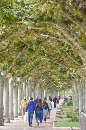 Burgos, Spain - 16 Oct 2021: Trees line the river side Paseo Espolon in the city of Burgosのeditorial素材
