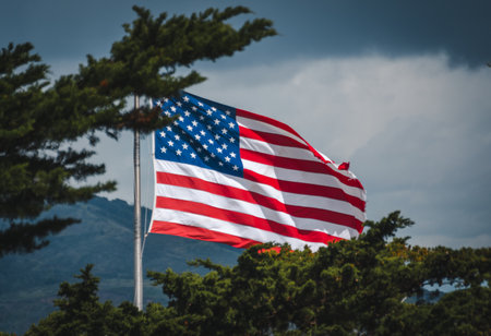 The American flag with a background of a large full green tree and a pleasant clear blue skyの写真素材