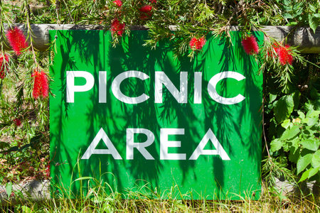 Picnic area sign in a woodland setting with plants casting shadowsの写真素材