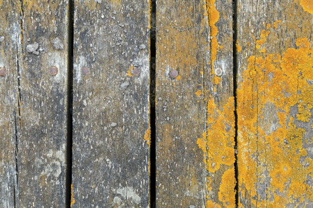 Ocean weathered wooden planks with decay and lichen growing from an overhead perspectiveの写真素材