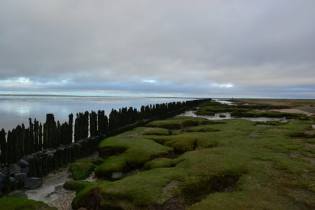 Sand flats at low tide of tidal sea Waddensea near Moddergat, Paesens, Netherlands