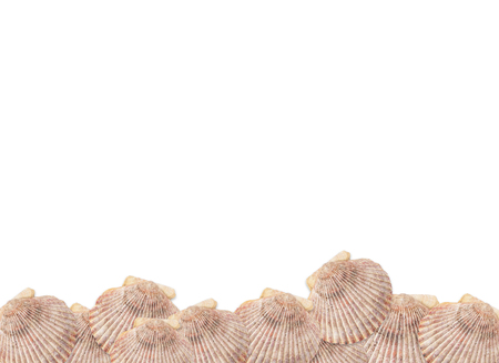 shell frameの写真素材