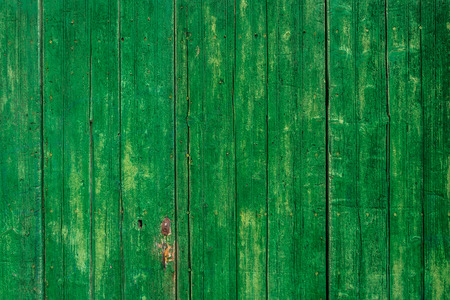 Green wooden wallの写真素材