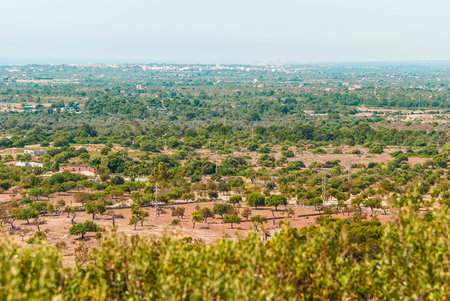 Mallorca landscape, Countryside in summer with clear sky (near Cala Millor), Spain