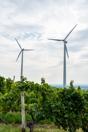 Two modern renewable energy wind turbines with propellers in different direction and vine plants in...