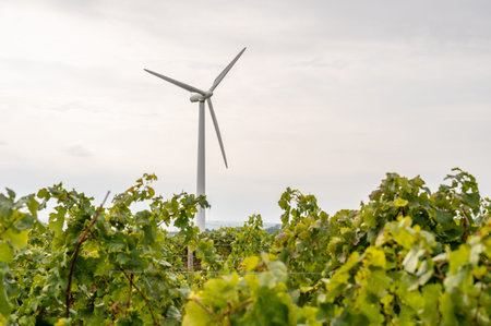 Modern wind turbine renewable energy with vine plants in front during cloudy day