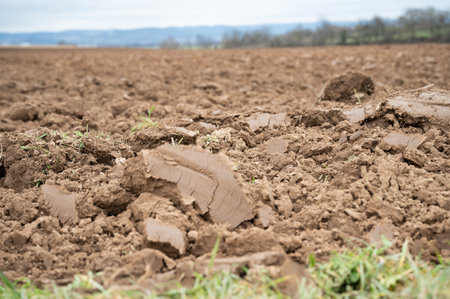 Topsoil brown soil on an agricultural field view from low angle, focus on foreground during cloudy dayの写真素材