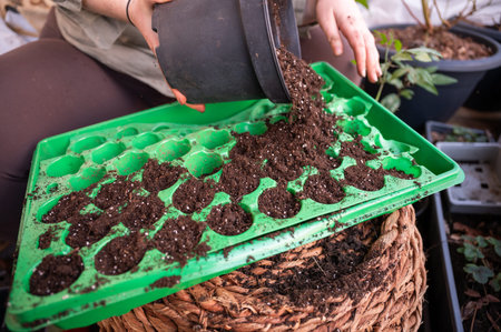 Woman sitting on the balcony and filling soil in a green cultivation form from a black pot, no...