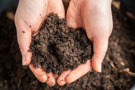 Woman holding biological plant soil in her two hands on top of a plant pot on the balcony, high angle viewの写真素材