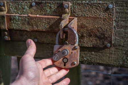 Close-up man touching an old wooden door with a rusty brown lock in front, door closedの写真素材